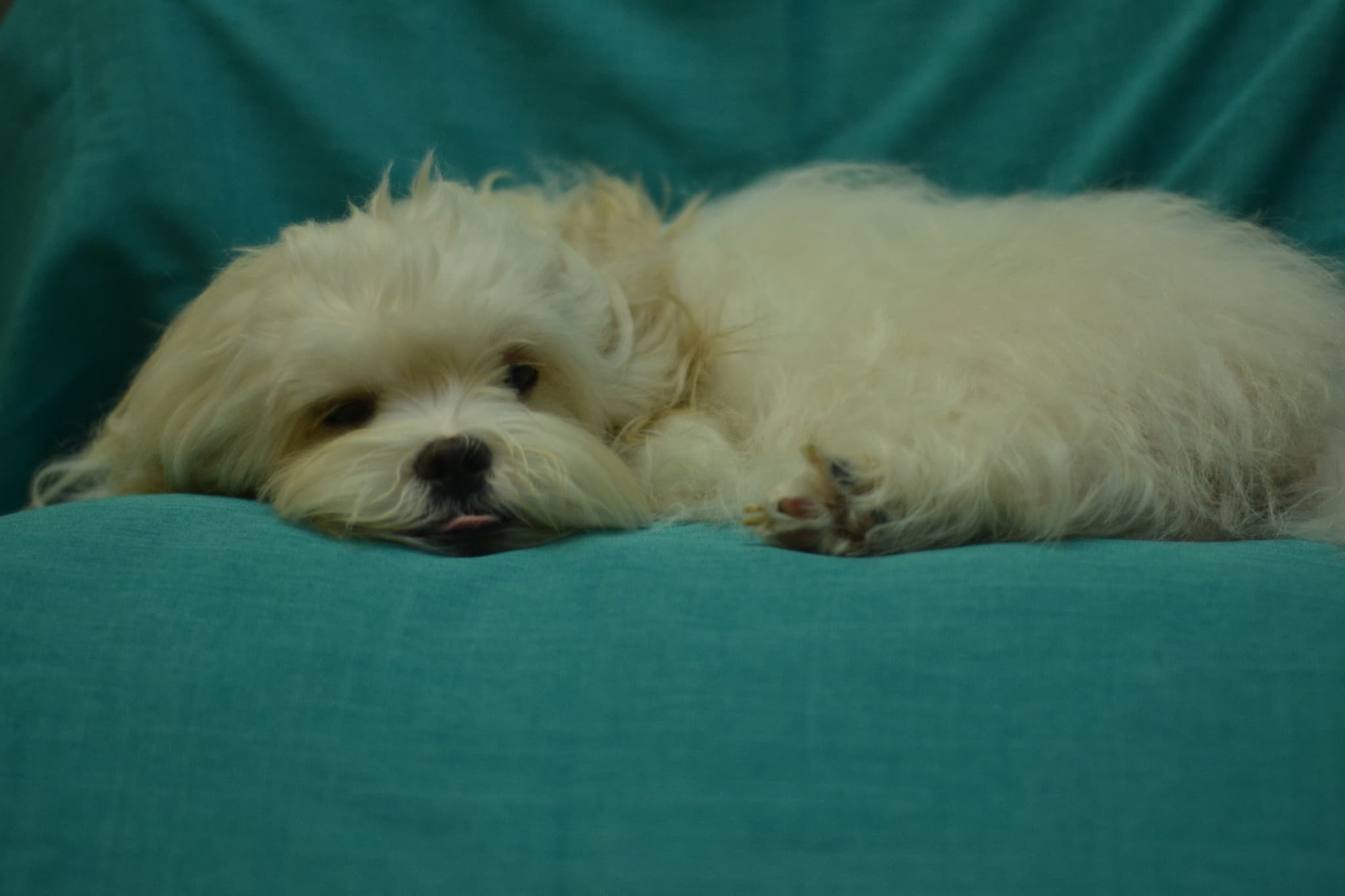 Critique du voyageur pour un voyage en voiture privée depuis origin par Pilar M avec Daytrip