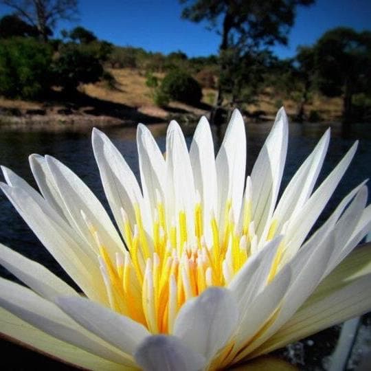 Reseña de viajero para el viaje en coche privado desde origin por Jencam333 con Daytrip