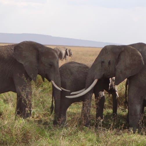 乘客从 origin 往返的私人车旅行由 Mindygal 撰写的评论与 Daytrip