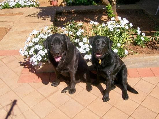 Daytrip never disappoints