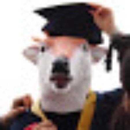 Critique du voyageur pour un voyage en voiture privée depuis origin par Bangyun W avec Daytrip