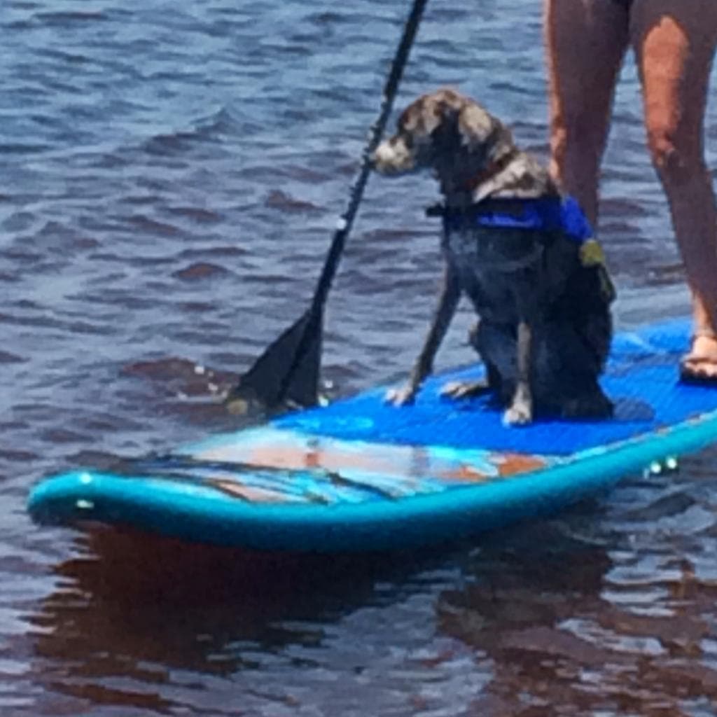 乘客从 origin 往返的私人车旅行由 Sue S 撰写的评论与 Daytrip