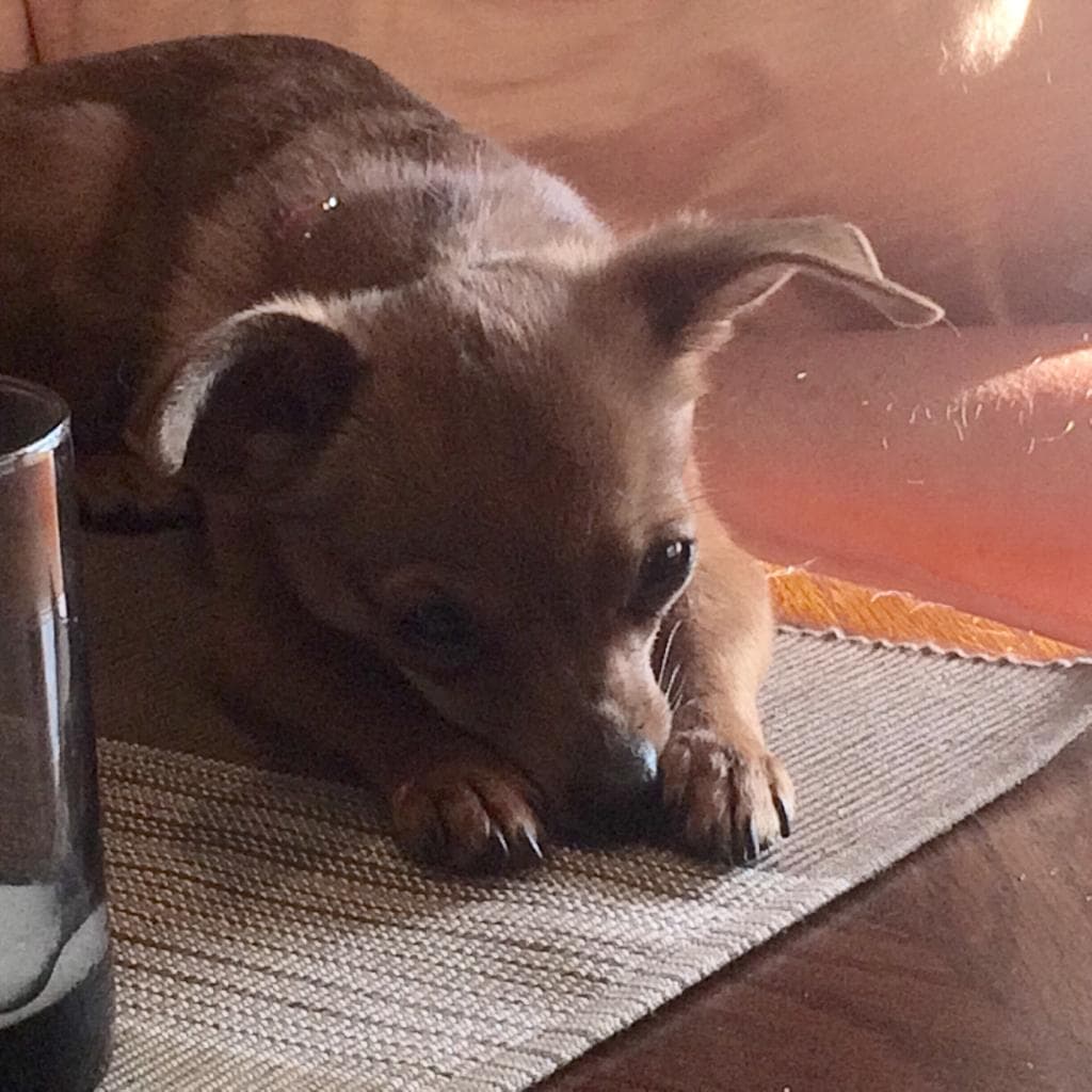 Critique du voyageur pour un voyage en voiture privée depuis origin par Mary S avec Daytrip